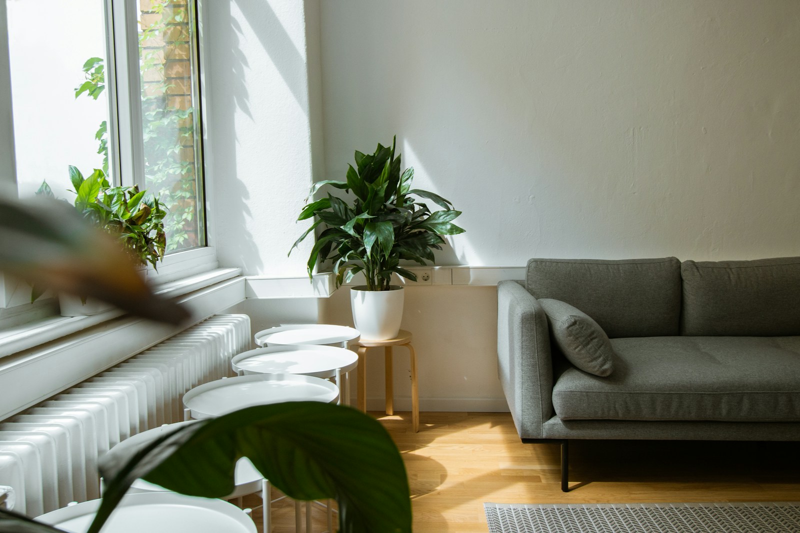 7 Important Facts That You Should Know About Rentals